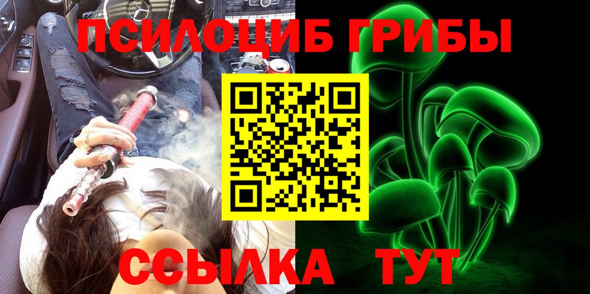 Галлюциногенные грибы Psilocybe Бутурлиновка