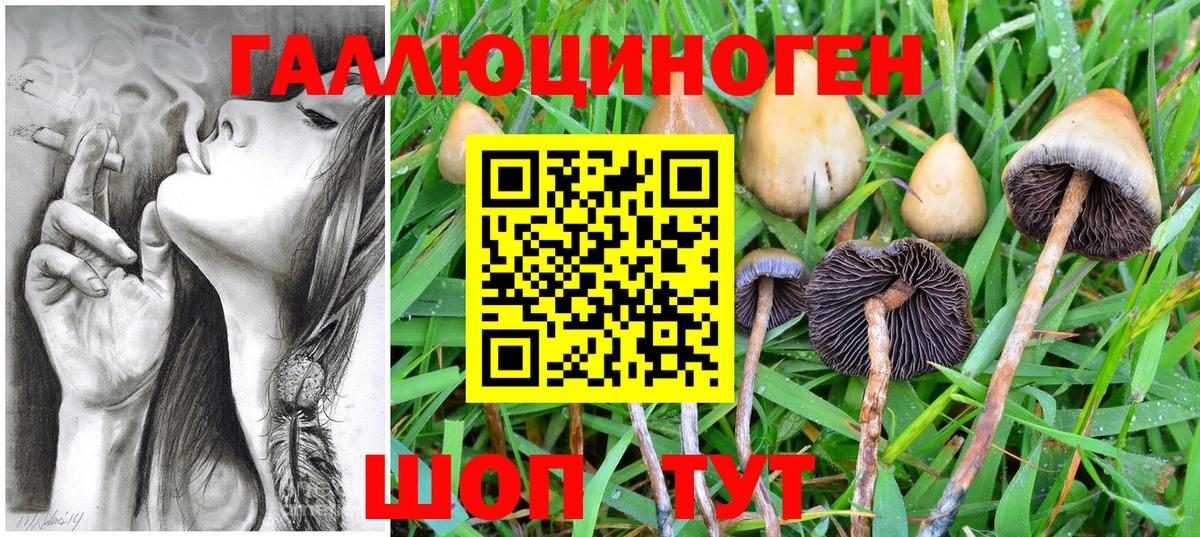 Бутурлиновка  Псилоцибиновые грибы мухоморы  Вход с VPN  Галлюциногенные грибы Cubensis 